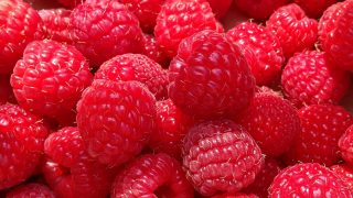 Muffins aux framboises et citron
