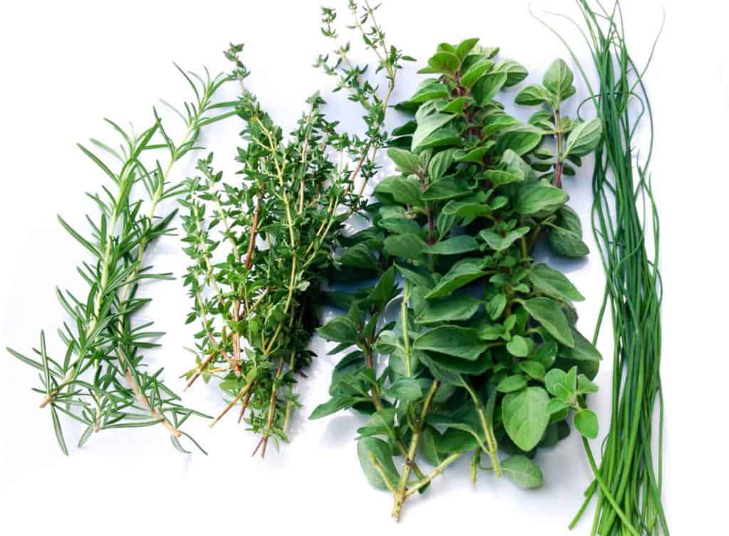 Comment conserver les surplus de fines herbes fraiches