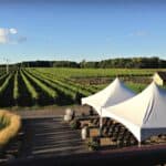 VIgnoble Rivière-du-Chêne