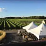 VIgnoble Rivière-du-Chêne