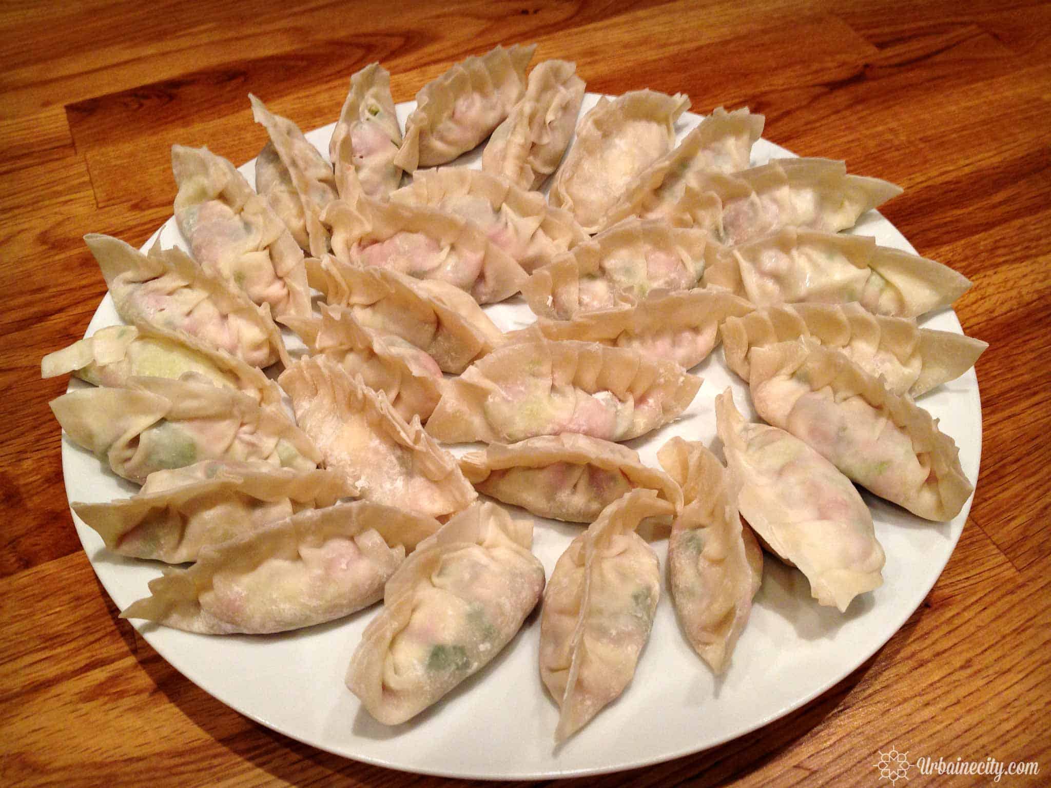 Recette et technique pour faire ses dumplings