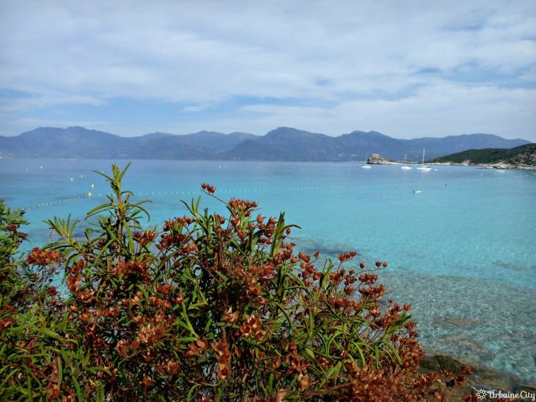Plage de la Corse - Agriates
