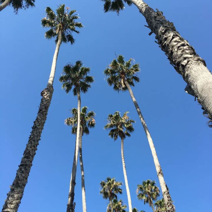 Santa Barbara