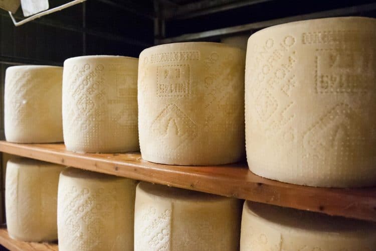 Pecorino Romano