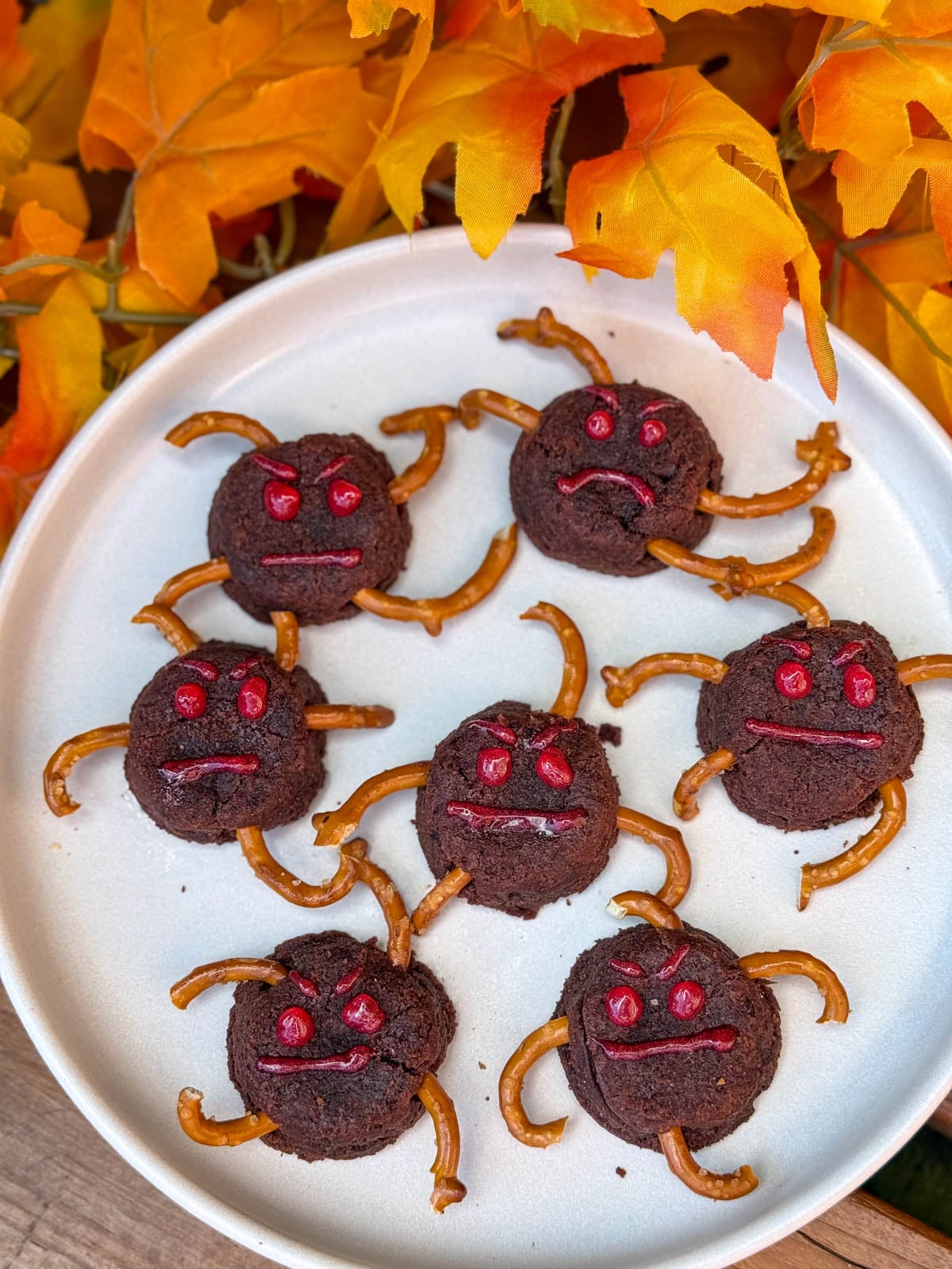 Araignées en brownies