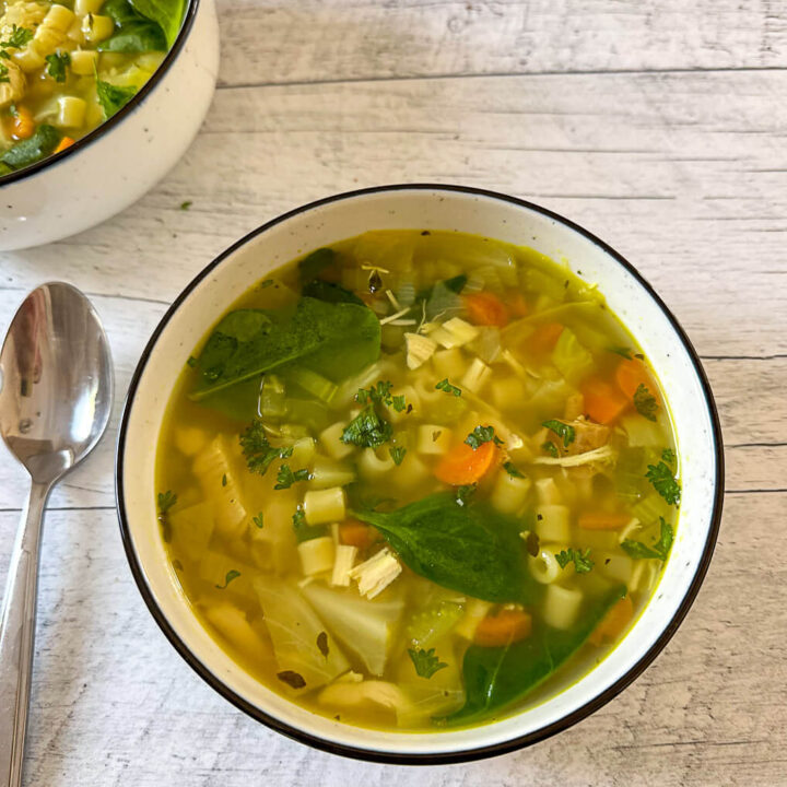 Bol de soupe poulet et nouilles et fines herbes