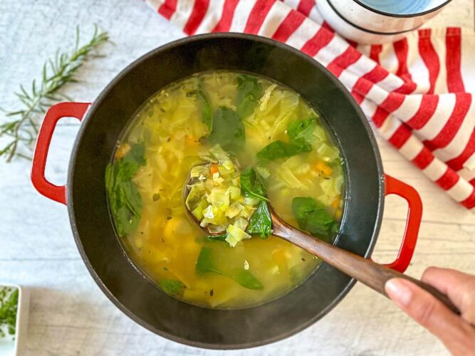 Soupe poulet et nouilles aux fines herbes