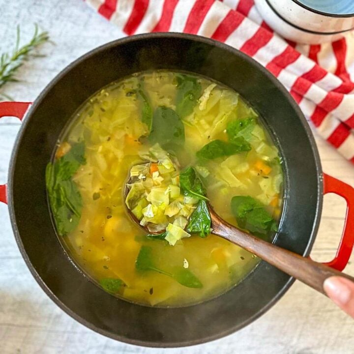 Soupe poulet et nouilles aux fines herbes