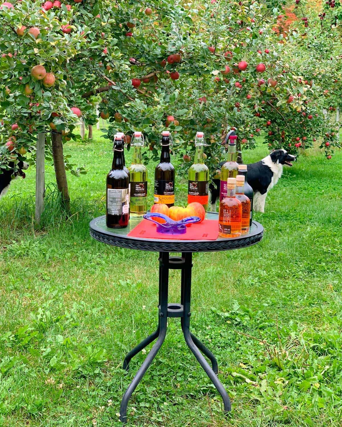 Produits en dégustation - Qui sème Récolte