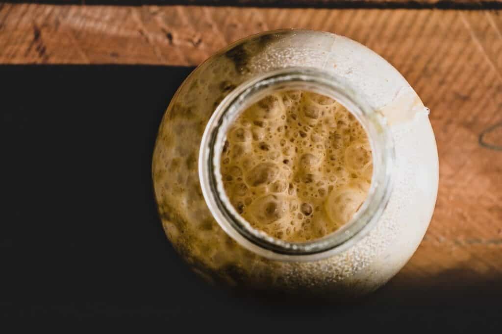 Test pour vérifier la levure alimentaire
