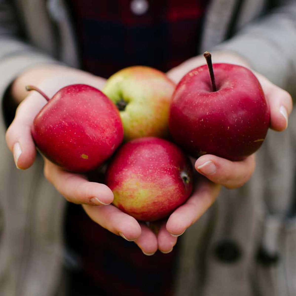 Recettes aux pommes