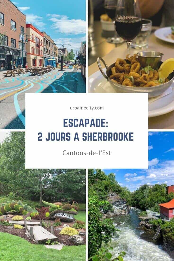 rencontres sportives sherbrooke