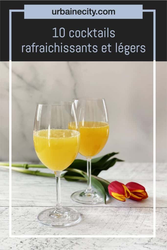 10 cocktails rafraichissants et légers