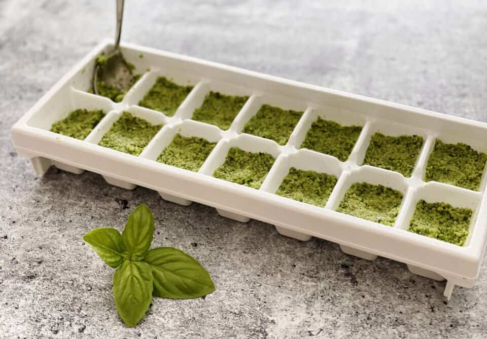 12 foods that freeze well in an ice cube tray Urbaine City