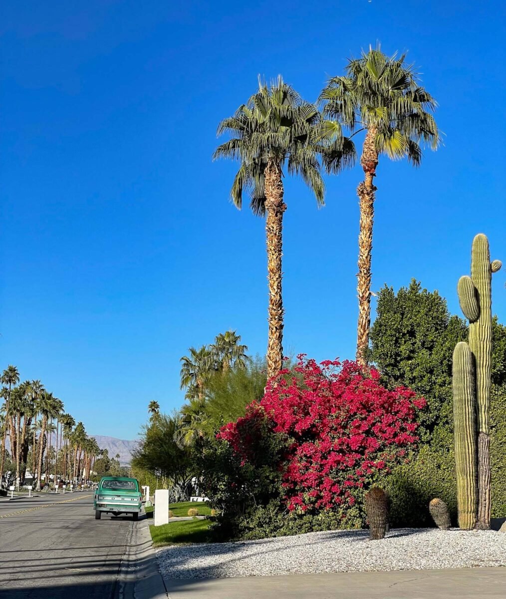 Travel guide 10 best things to do in Palm Springs Urbaine City