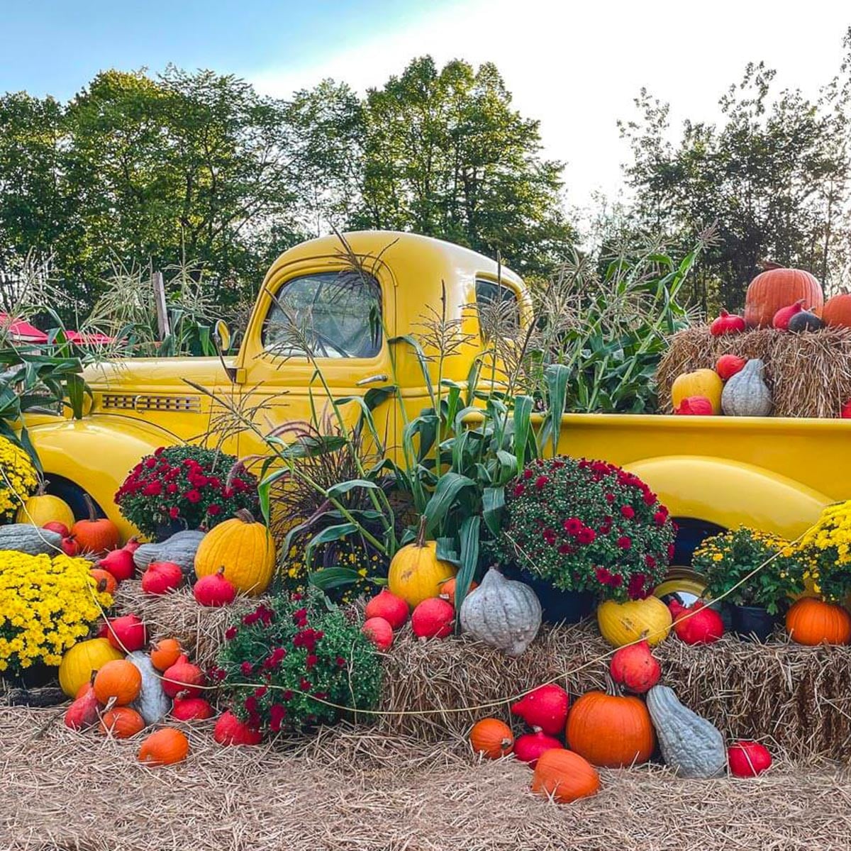 Decorative truck Ferme Marineau