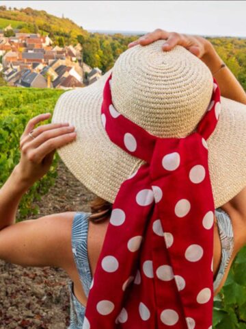 Vins du Centre-Loire