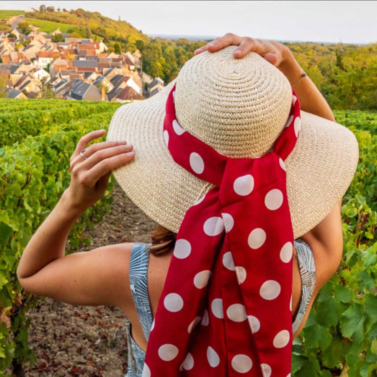 Vins du Centre-Loire