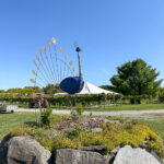 Vignoble de La Bauge