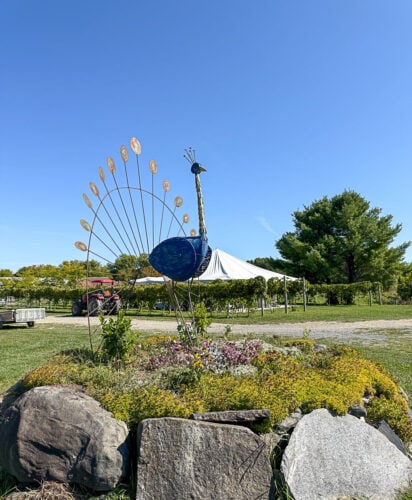 Vignoble de La Bauge