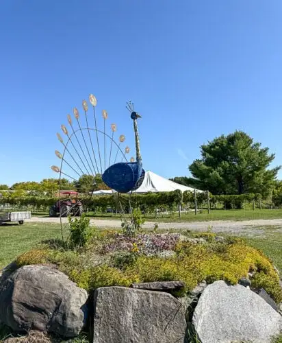 Vignoble de La Bauge