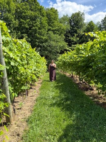 Itinéraire - Roadtrip vins et bonne bouffe dans les Cantons-de-l'Est
