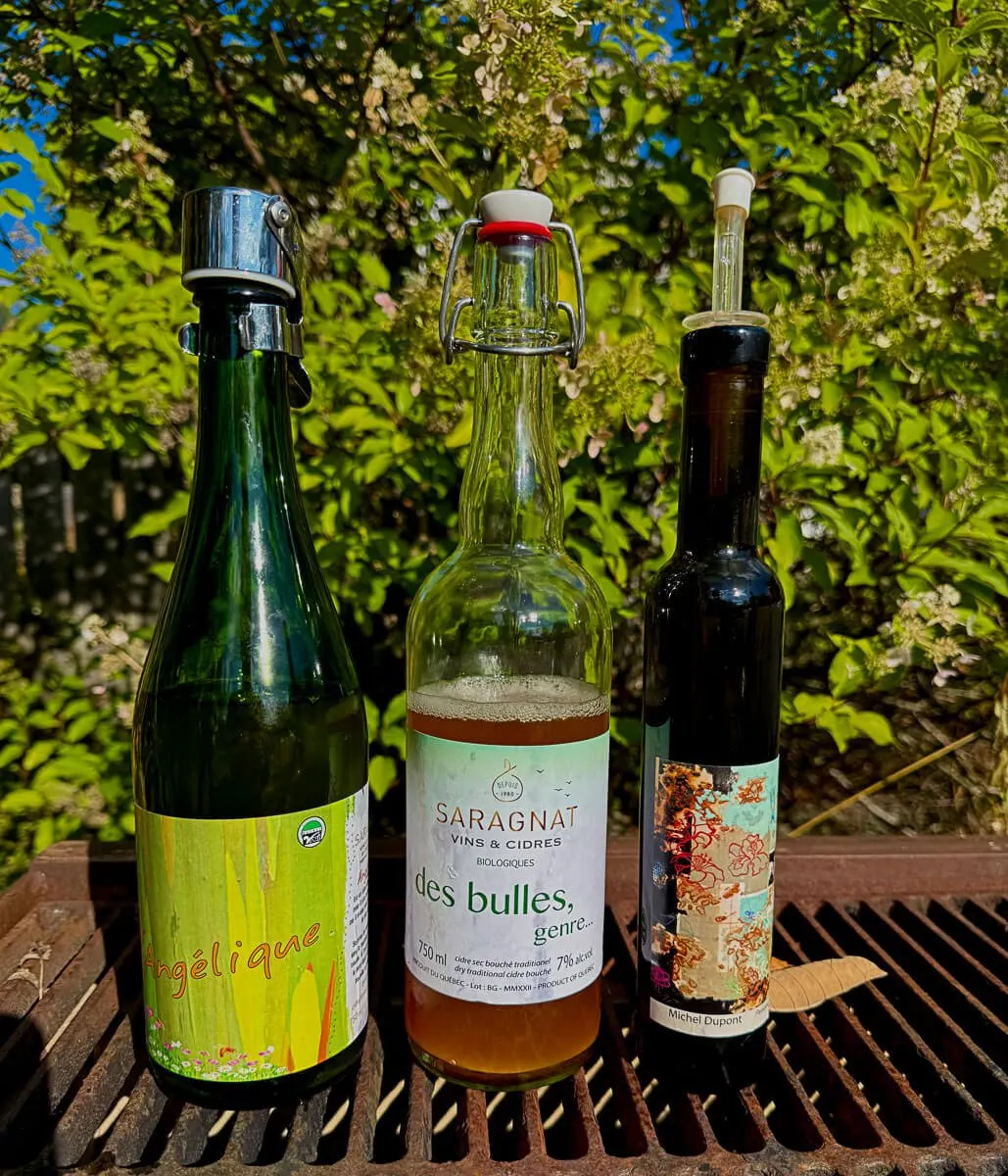 En dégustation au Clos Saragnat