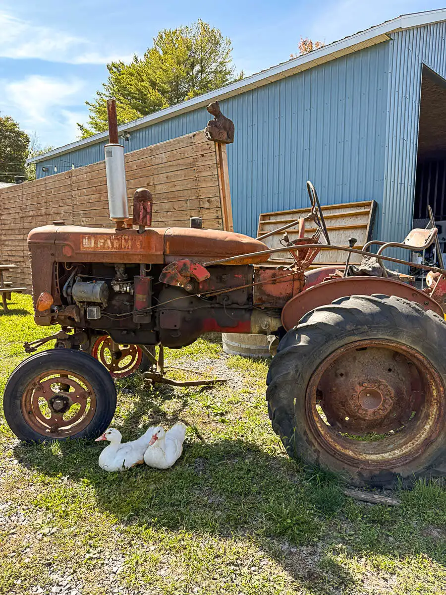 Tracteur et canards - Equinoxe