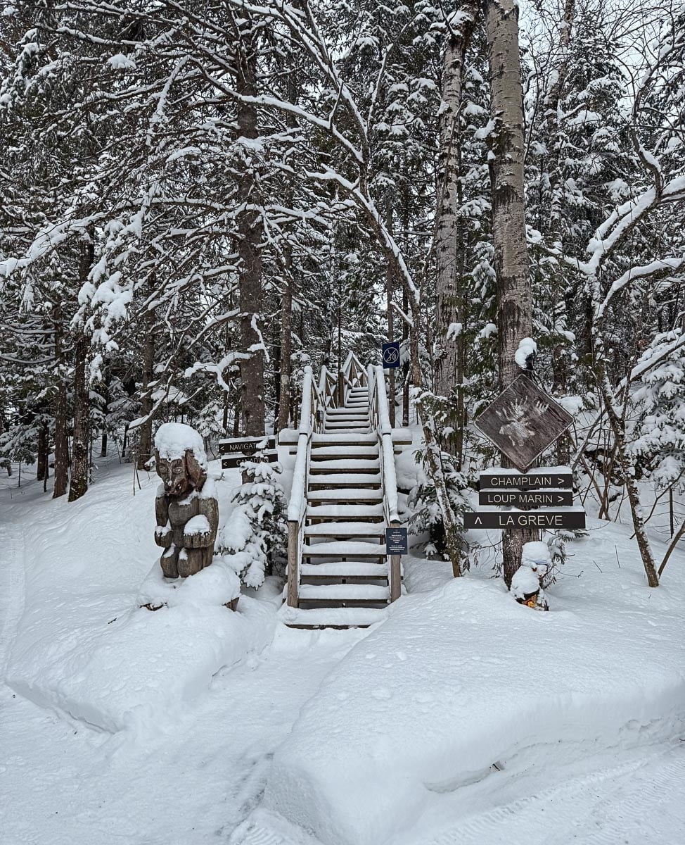 Passerelle et escalier du Vieux-Loup-de-Mer