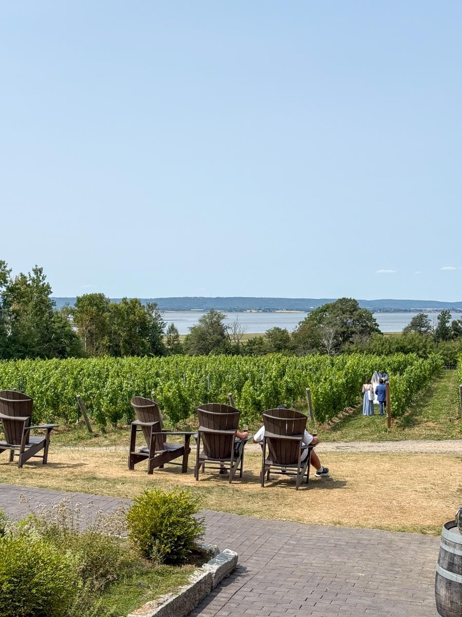 Vue de la terrasse du vignoble Lightfoot & Wolfville