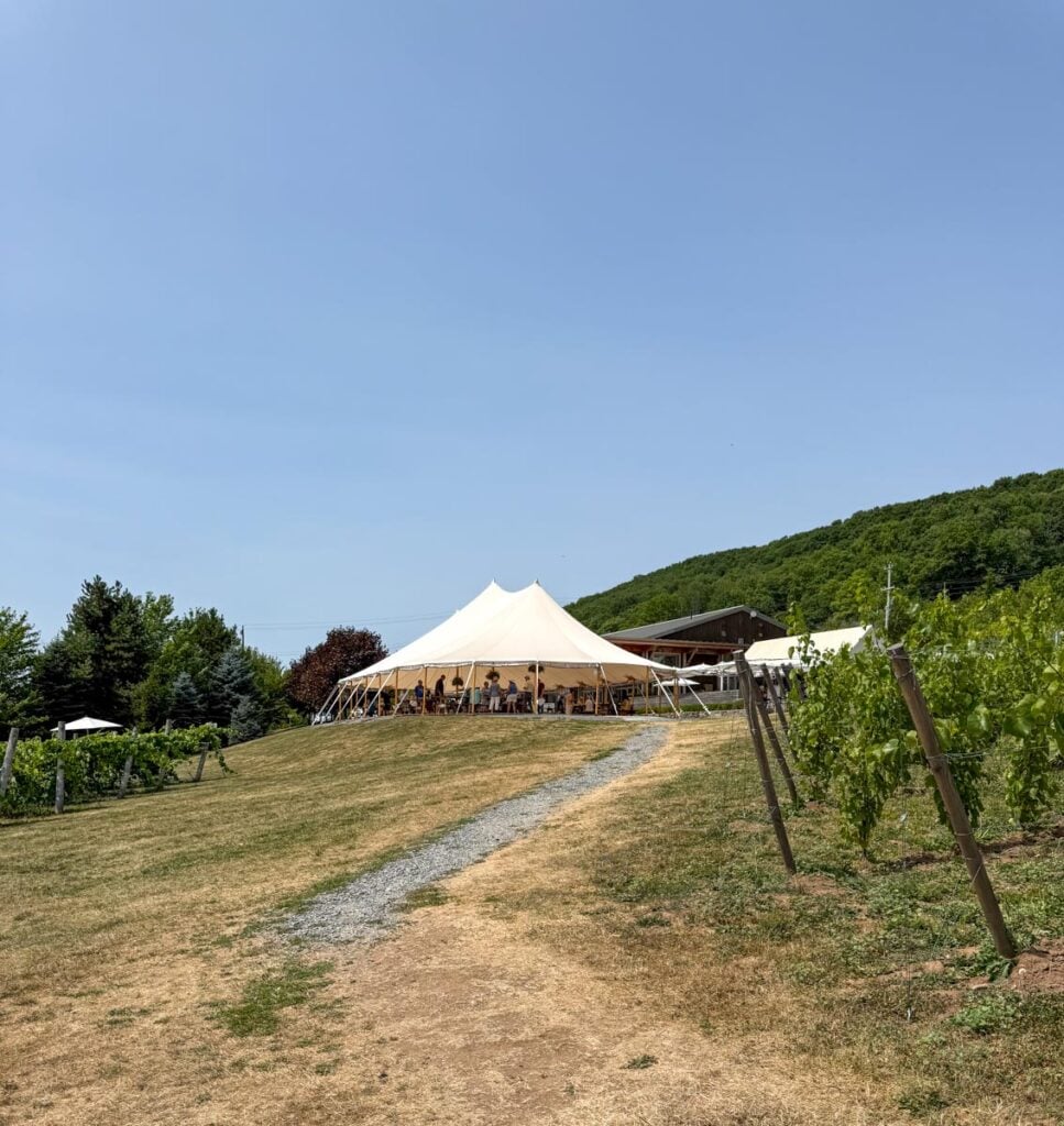 La terrasse du vignoble Benjamin Bridge