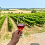 Glass of wine enjoyed at Planters Ridge