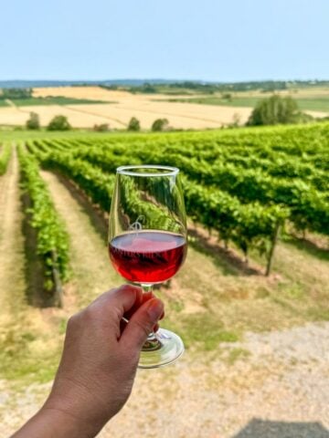 Coupe de vin dégustée sur le vignoble Planter's Ridge en Nouvelle-Écosse