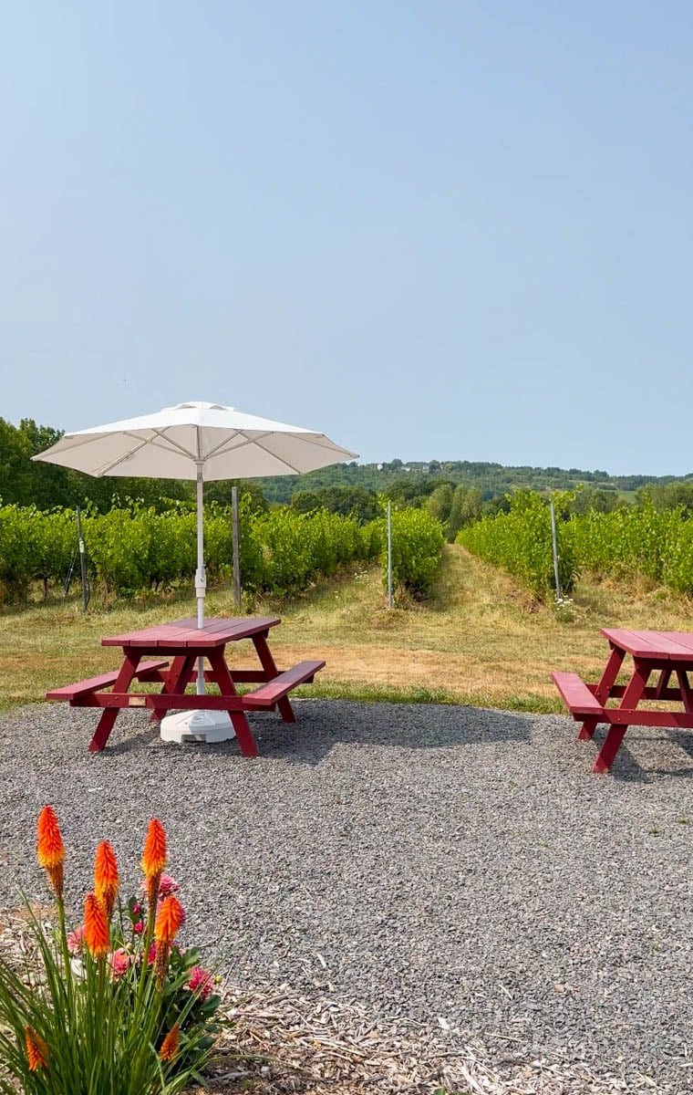 Un cadre intime pour déguster les mousseux de L'Acadie Vineyards