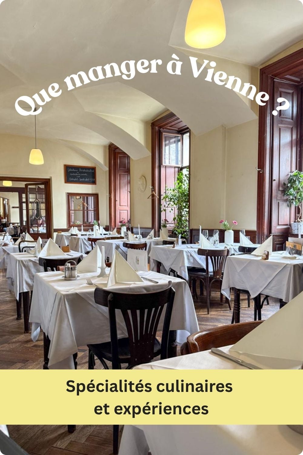 Que manger à Vienne? Expériences et spécialités