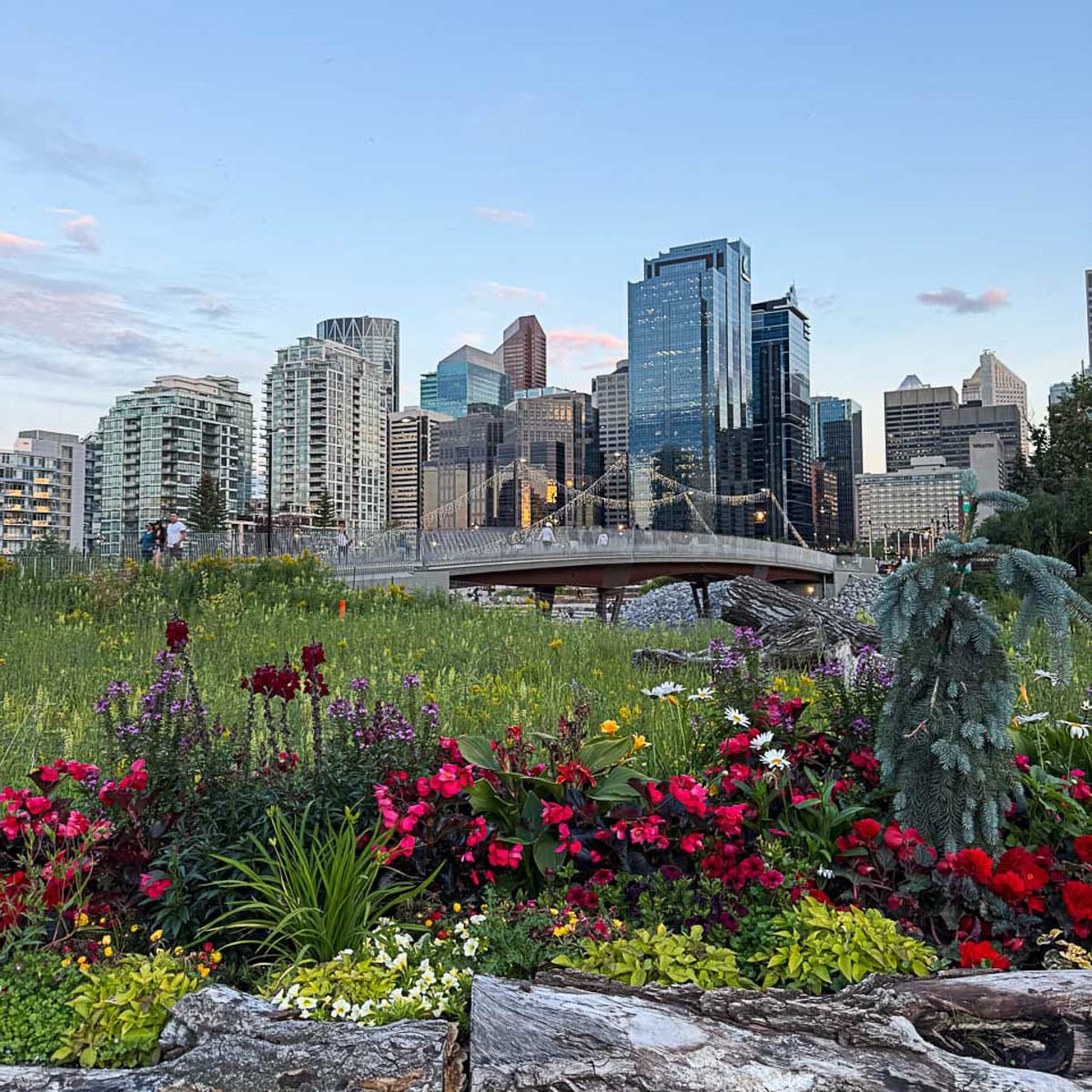 Calgary 