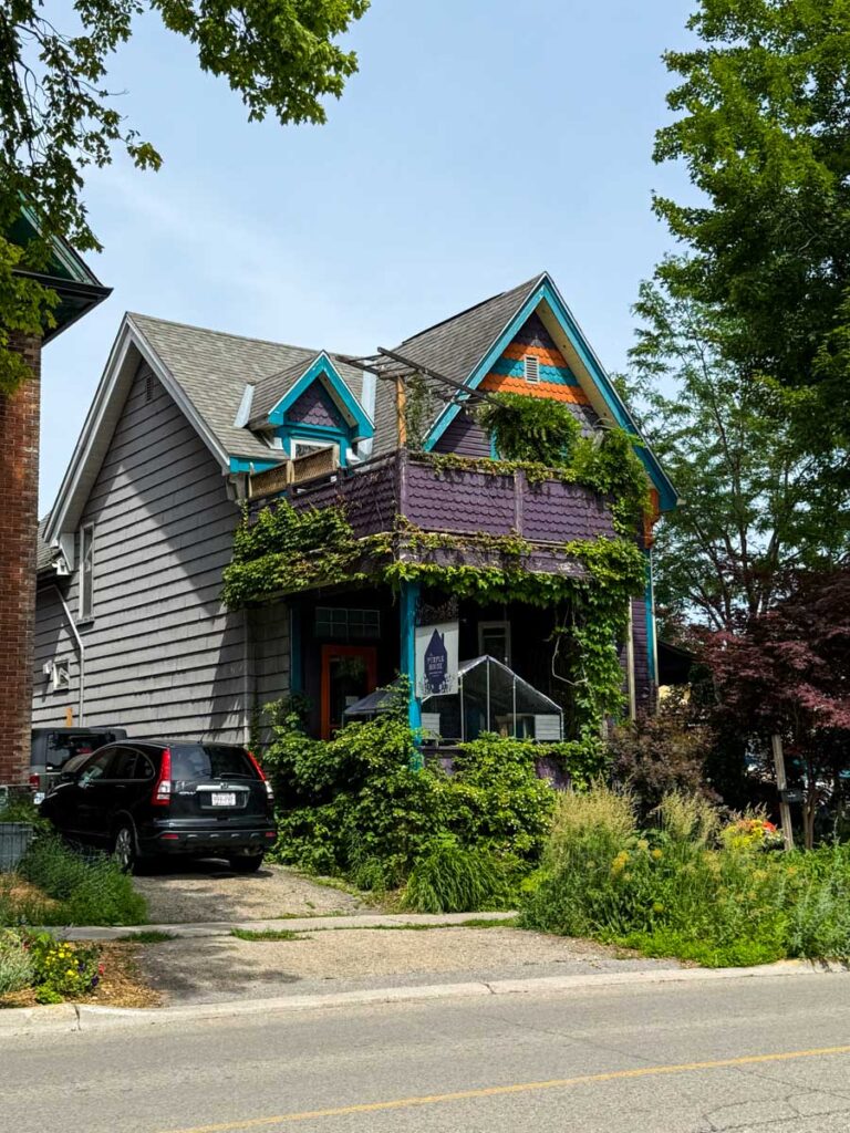 The Purple House