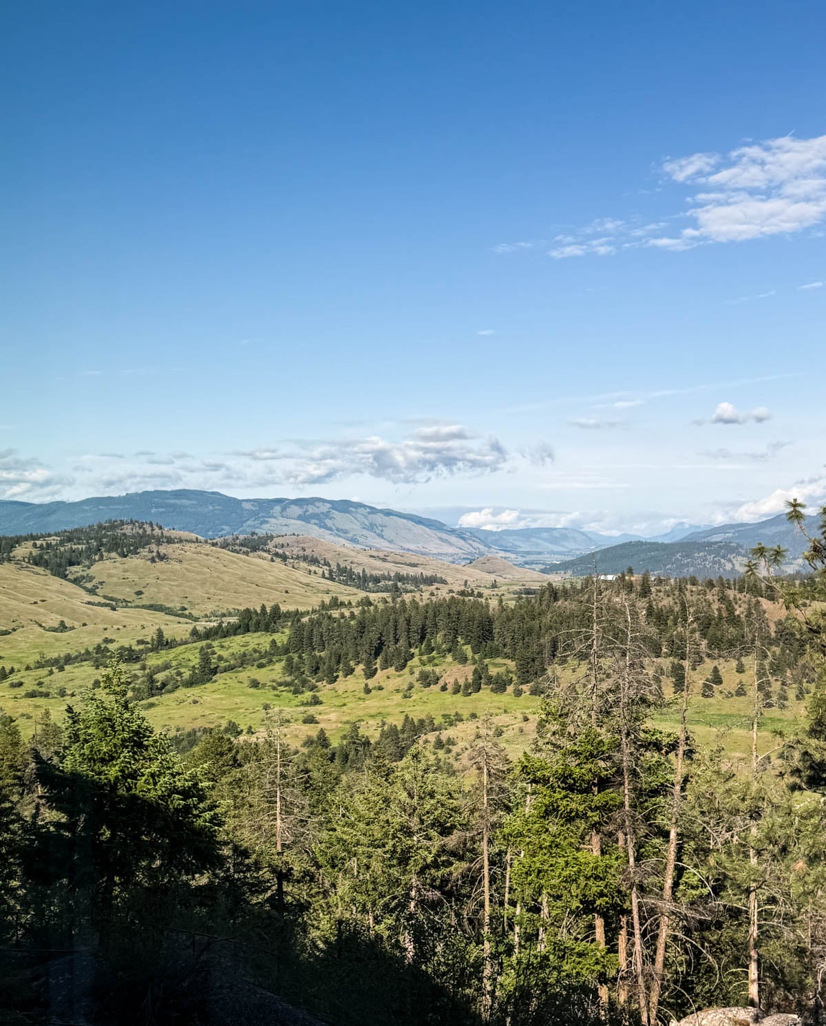 View from a Mountain View room at Sparkling Hill Resort